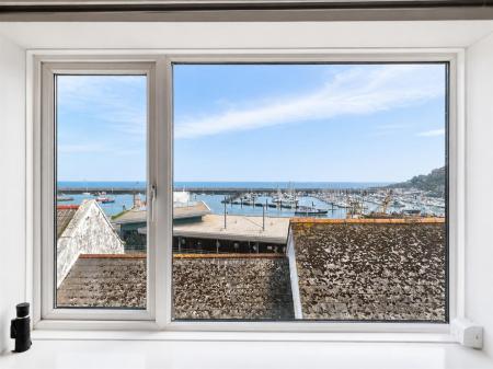 Window View.png