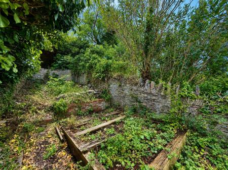 Rear Garden.png