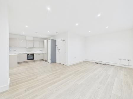 CAM04018G0-PR0393-ST