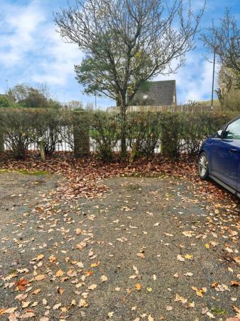 6c1af5b3-IMG_2305.jp