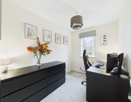 CAM04018G0-PR0431-ST