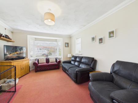 CAM04018G0-PR0452-ST