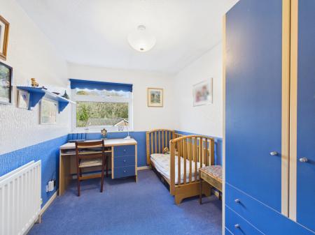 CAM04018G0-PR0450-ST