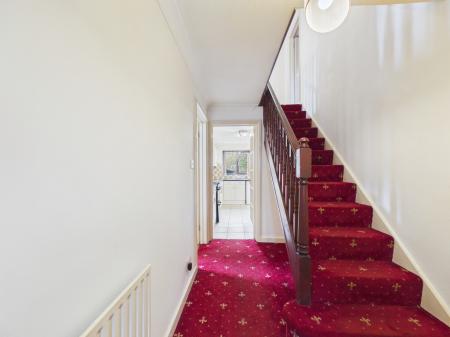 CAM04018G0-PR0461-ST