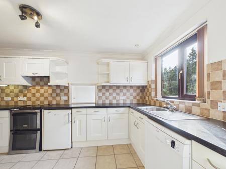 CAM04018G0-PR0461-ST