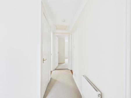 CAM04018G0-PR0553-ST