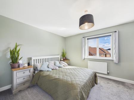 CAM04018G0-PR0479-ST