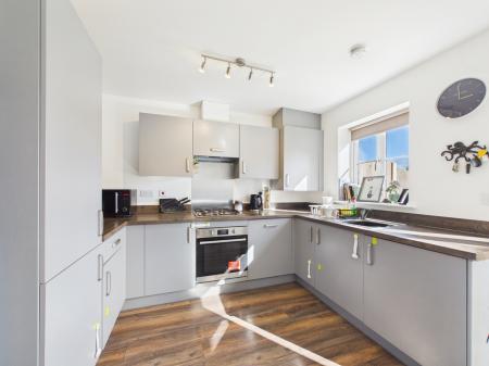 CAM04018G0-PR0479-ST