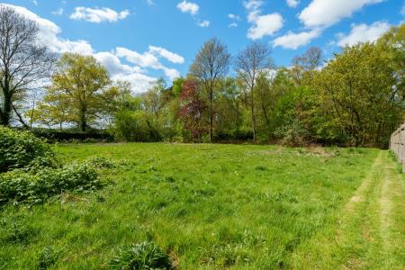 67-web-or-mls-SOUTH