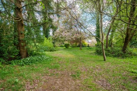 65-web-or-mls-SOUTH