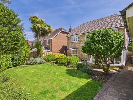 Back Garden