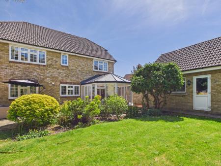 Back Garden