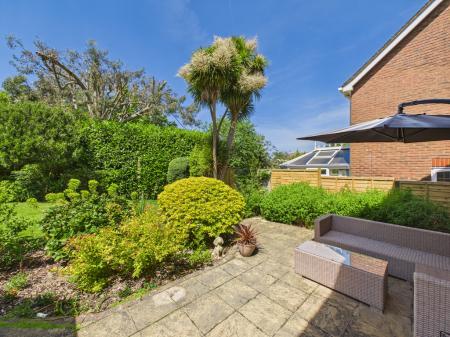 Back Garden