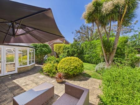 Back Garden