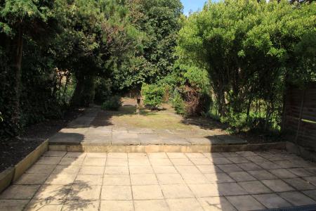 Photo 07