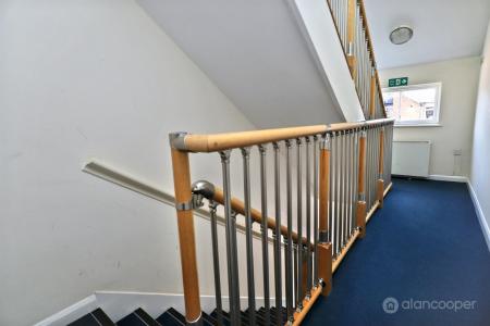 Media image 13