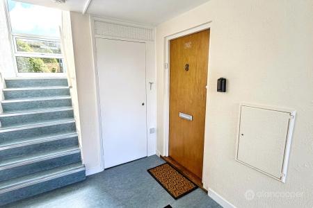 Media image 12