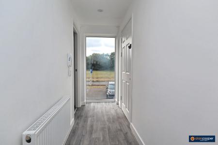 Media image 11