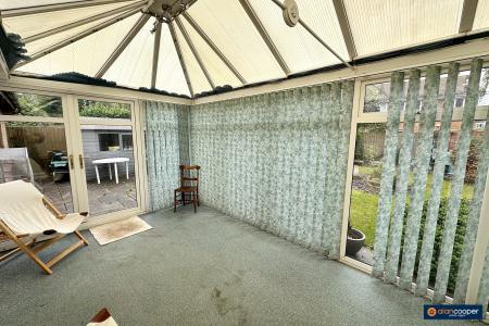 Media image 13