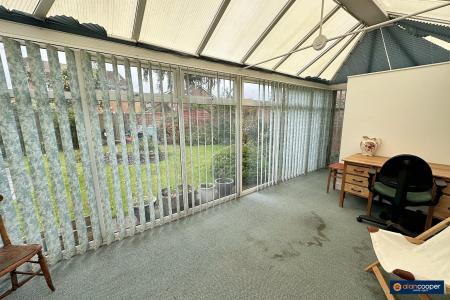Media image 12