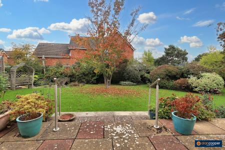 Media image 16