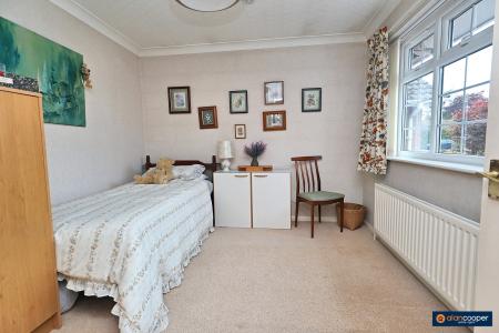 Media image 13