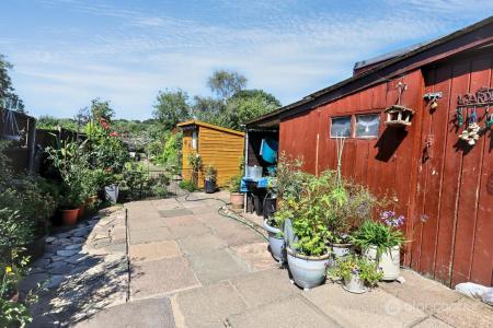 Media image 20