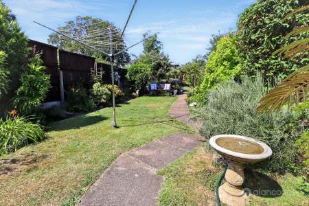 Media image 22