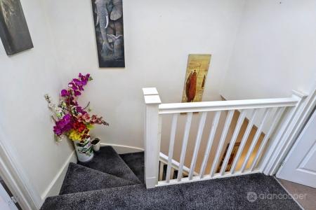 Media image 14