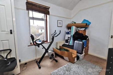 Media image 13