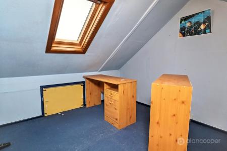 Media image 15