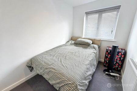Media image 11