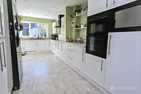 Media image 10