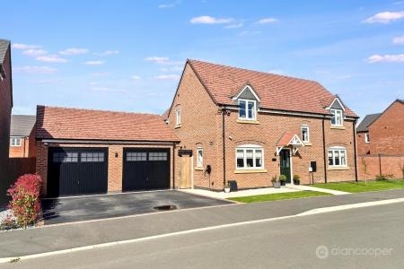 Media image 27