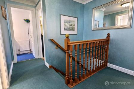 Media image 13
