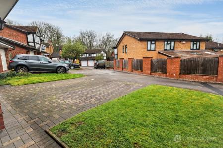 Media image 27
