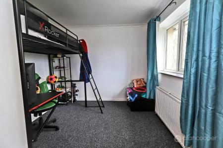 Media image 13