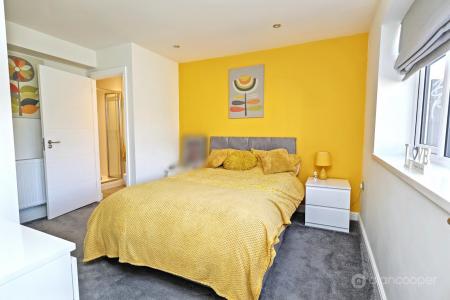 Media image 10
