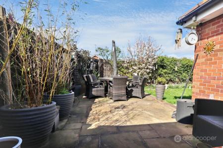 Media image 23