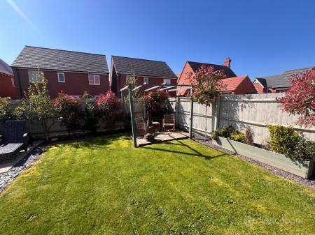 Media image 20