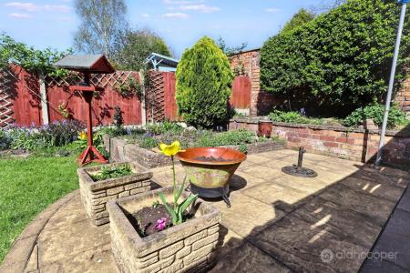 Media image 24