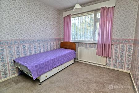 Media image 15