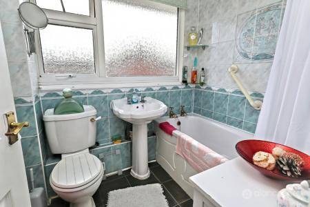 Media image 15