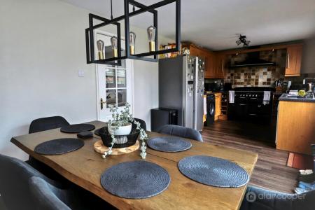 Media image 10