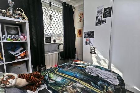 Media image 11