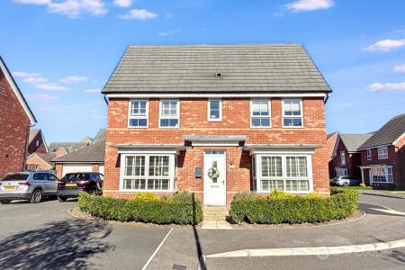 Media image 25