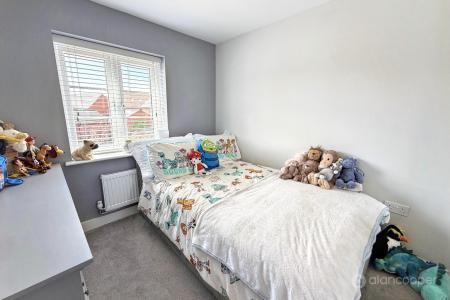 Media image 12