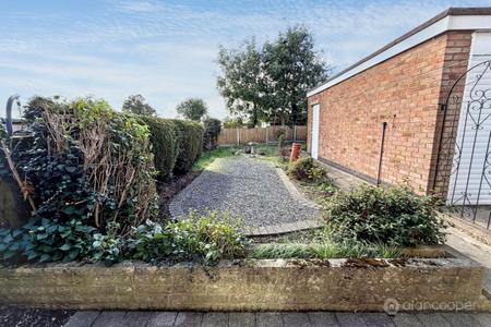 Media image 23