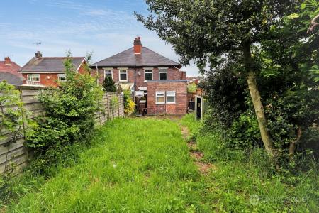 Media image 16