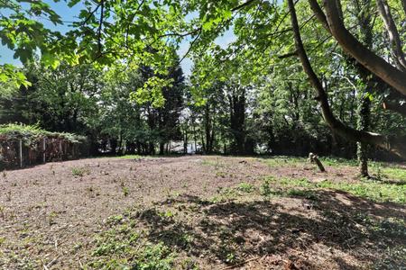 Media image 25